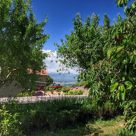 Detached For 6 Pers With Outdoor Swimming Pool Holiday home Loro Ciuffenna