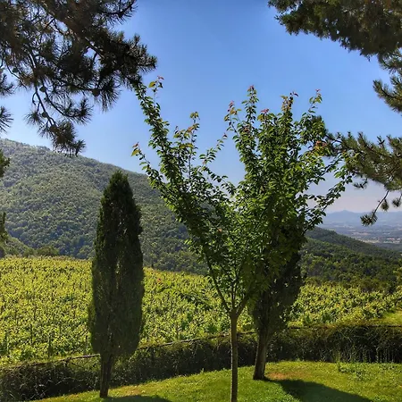 Detached For 6 Pers With Outdoor Swimming Pool Loro Ciuffenna