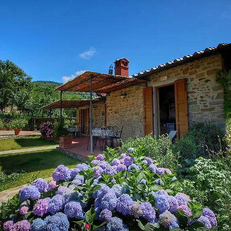 Detached For 6-pers With Outdoor Swimming Pool Loro Ciuffenna